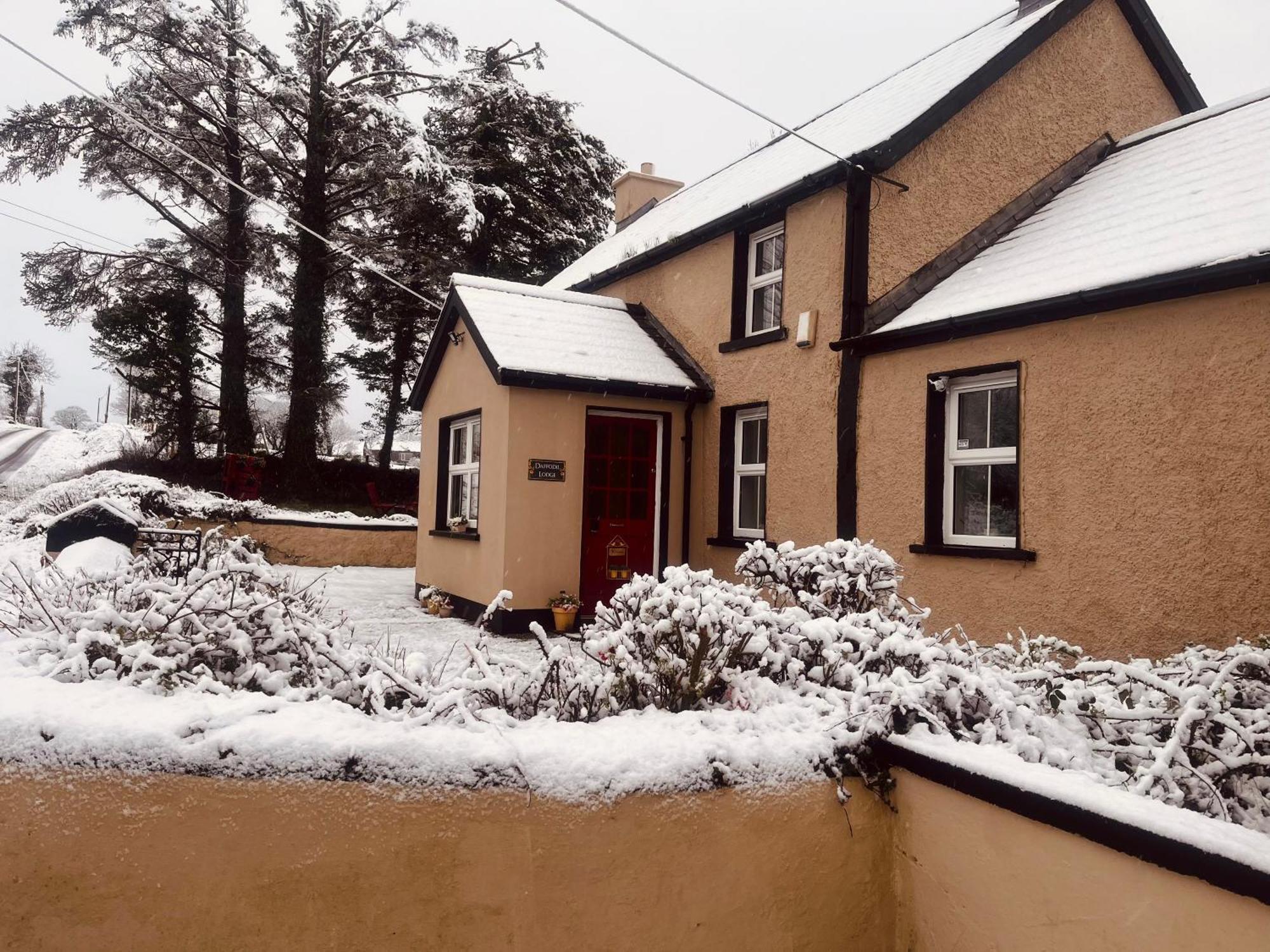 Daffodil Lodge Sligo Exteriör bild