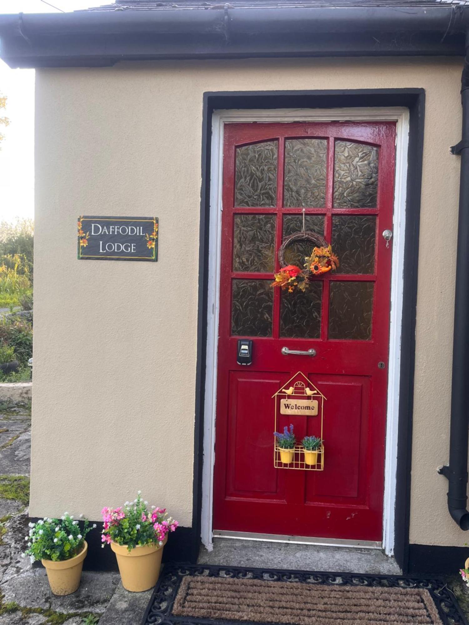 Daffodil Lodge Sligo Exteriör bild