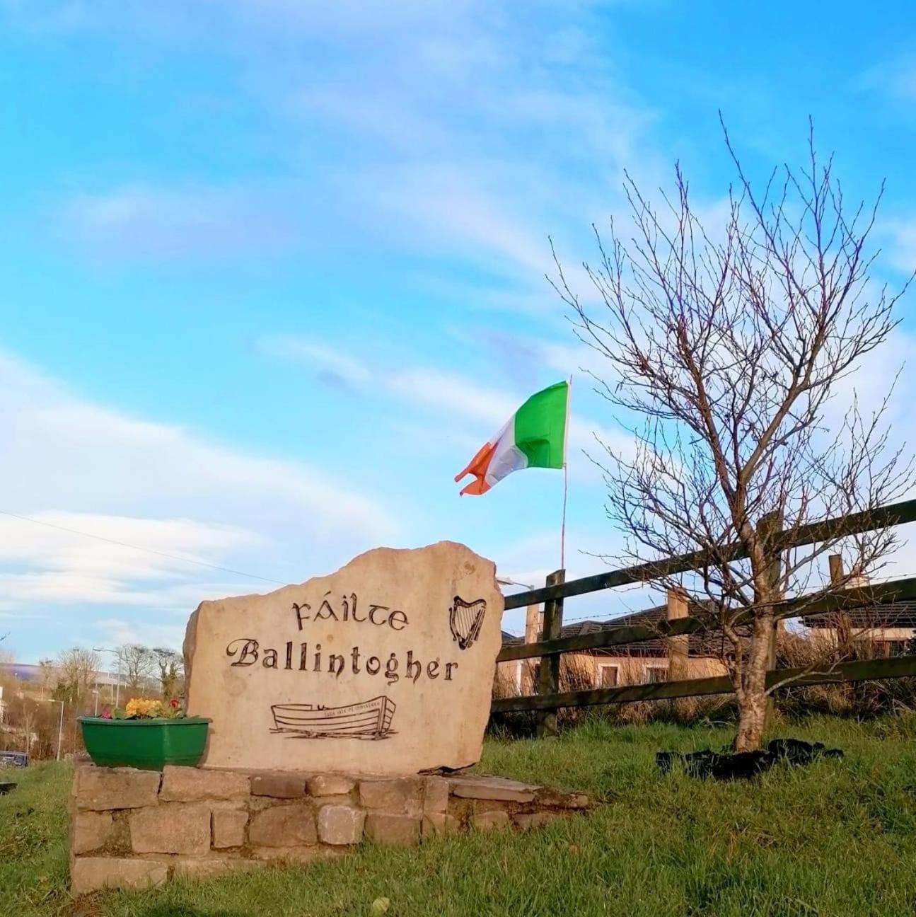 Daffodil Lodge Sligo Exteriör bild