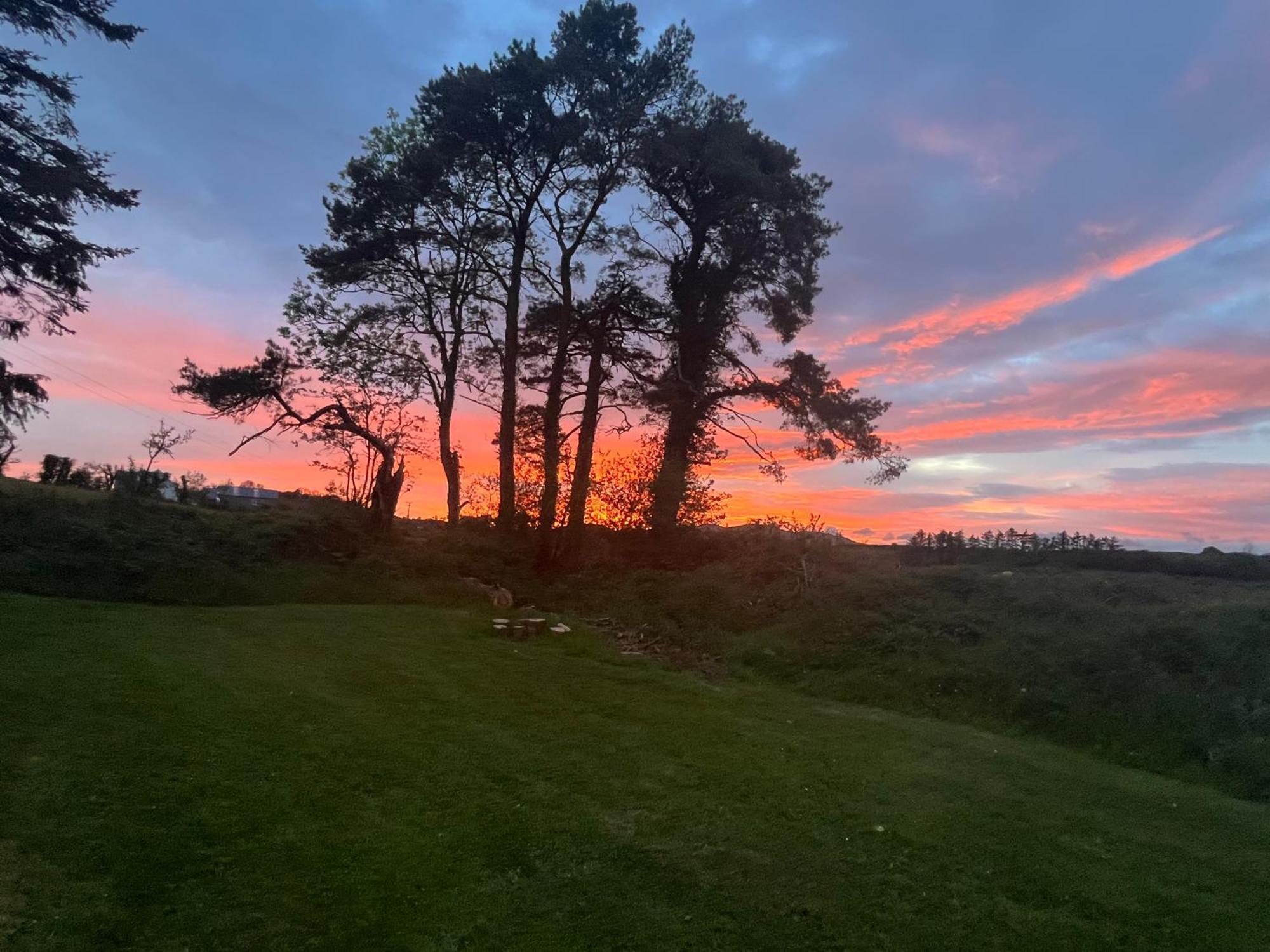 Daffodil Lodge Sligo Exteriör bild