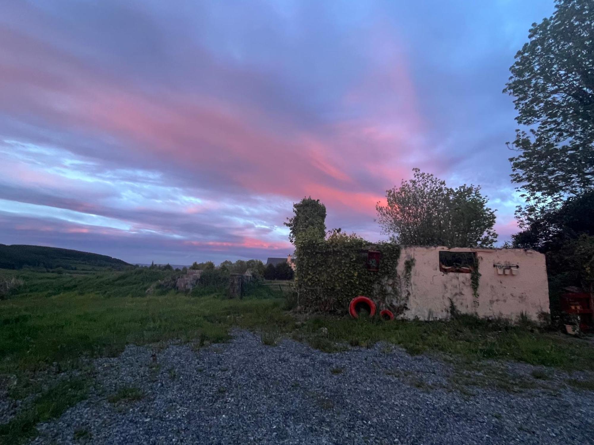 Daffodil Lodge Sligo Exteriör bild
