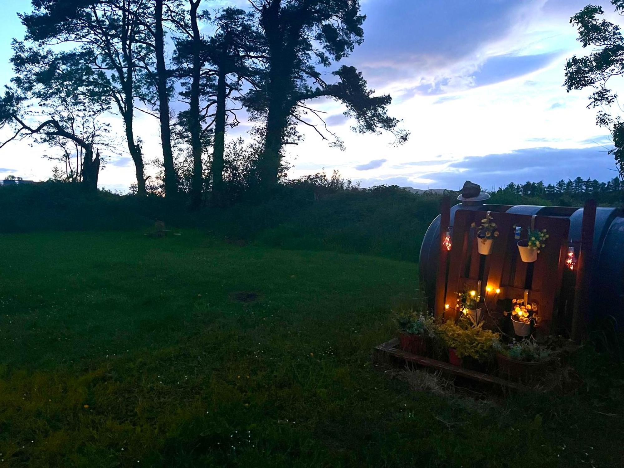 Daffodil Lodge Sligo Exteriör bild